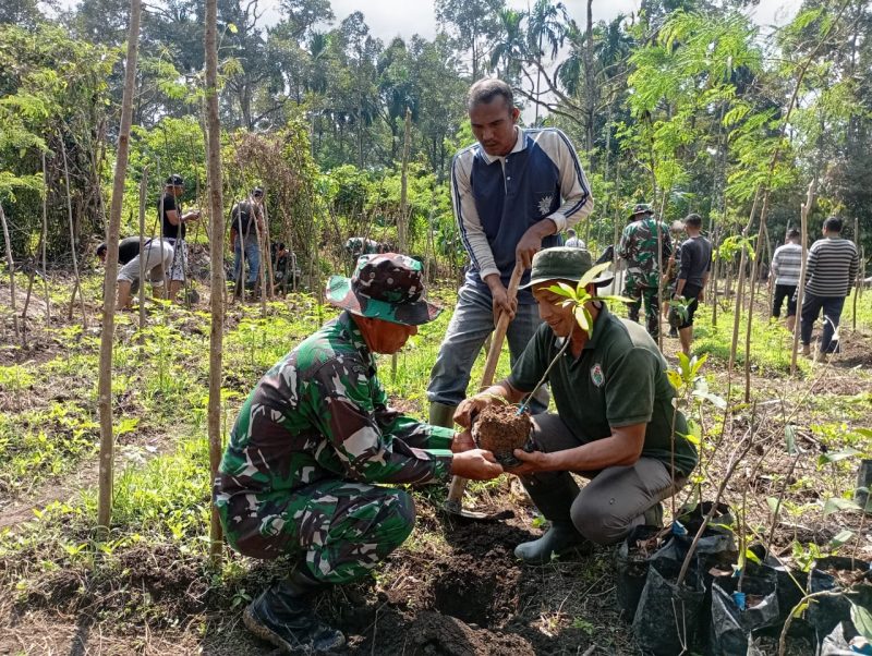 Program Unggulan Kasad, Satgas TMMD ke-119 Kodim 0102/Pidie Tanam 300 Bibit Pohon di Kebun Warga.