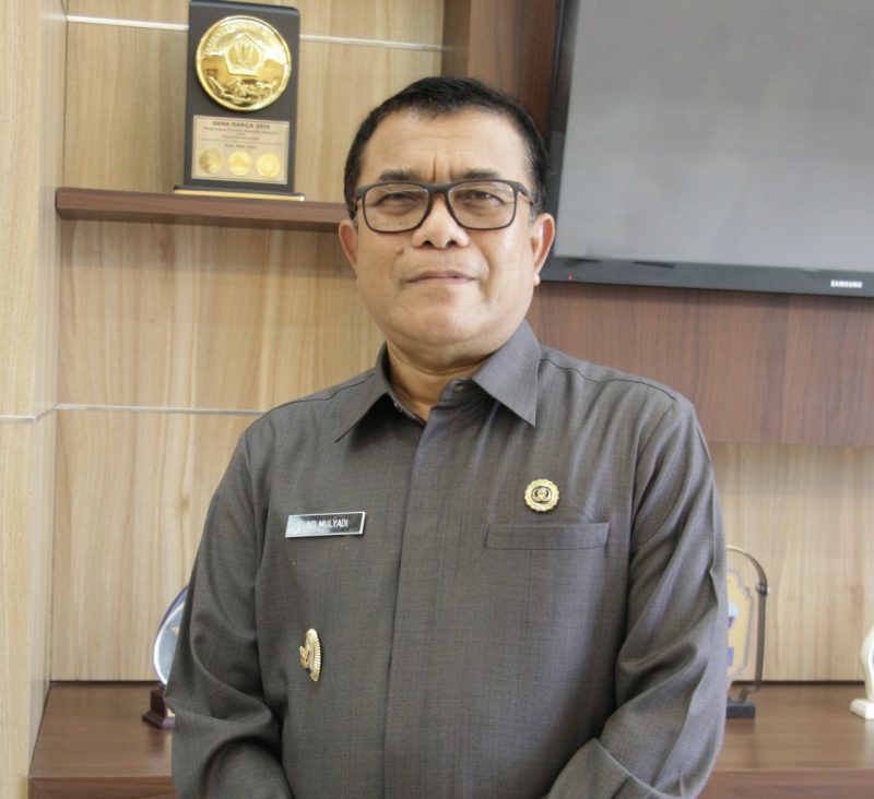 Wakil Bupati (Wabup) Pidie Jaya, Dr H Said Mulyadi. 