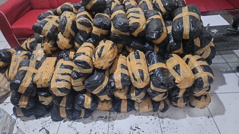 Polda Aceh Berhasil Ungkap Kasus Narkotika, 300 Kg Ganja Siap Edar Diamankan. 