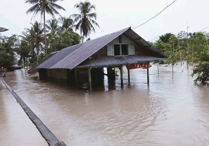 Kondisi banjir dan longsor di Kabupaten Nias Barat, Minggu (16/6/2024). NOA.co.id/HO/Pusat Data Informasi dan Komunikasi Kebencanaan BNPB/BPBD Kab Nias Barat