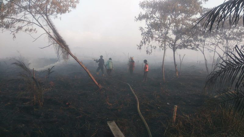 Pemadaman Karhutla di Aceh Barat. Foto: BPBD Aceh Barat/NOA.co.id