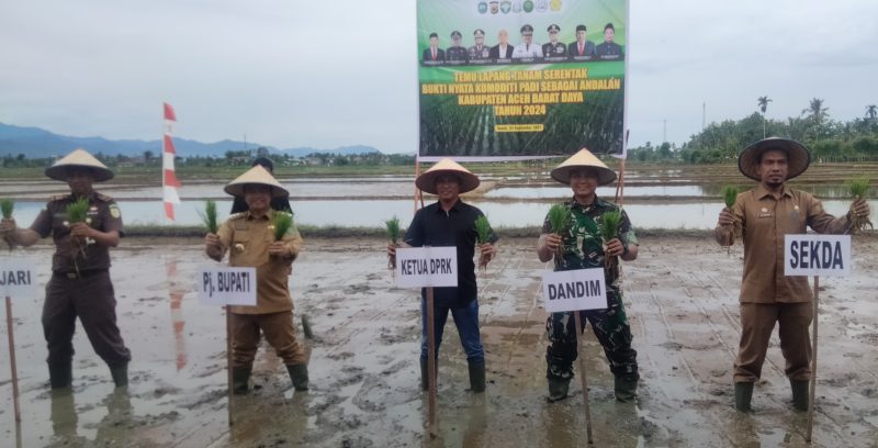 Tanam serentak perdana padi di Kabupaten Aceh Barat Daya. (Foto. Teukunizar/NOA.co.id)