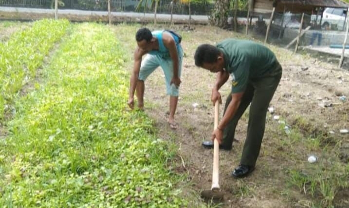 Babinsa Koramil Kuala Batee mendampingi petani warga binaan. (Foto. Teukunizar/NOA.co.id)