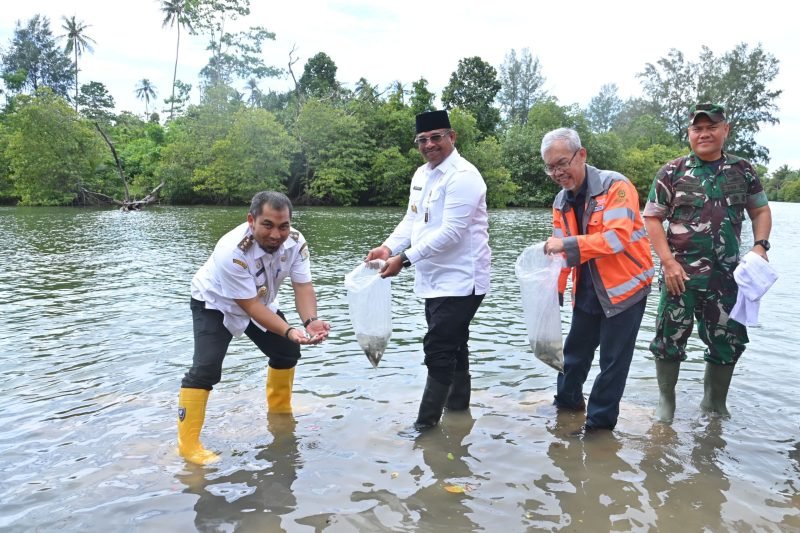 Pj. Gubernur Aceh, Dr. H. Safrizal ZA, M.Si, didampingi Pj. Bupati Aceh Besar, Muhammad Iswanto, S.STP, MM dan General Manager SBA, R. Adi Santosa melepas ribuan calon bibit ikan kakap putih di sungai Krueng Raba, Lhoknga dalam kegiatan Quarry Day PT Solusi Bangun Andalas, 18 Desember 2024. Foto: dok. PT. SBA